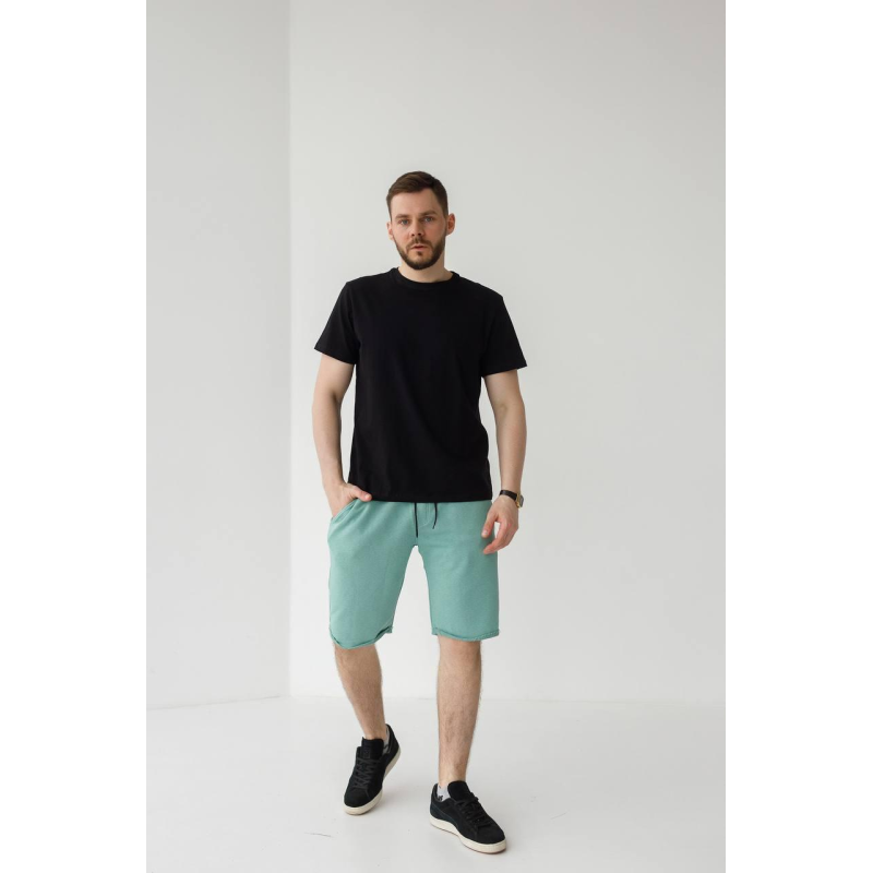 Шорти чоловічі трикотажні Фісташковий, XXL