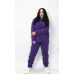 Жіночий спортивний теплий костюм тринитка на флісі Фіолетовий, XS-S