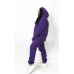Жіночий спортивний теплий костюм тринитка на флісі Фіолетовий, XS-S