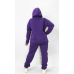 Жіночий спортивний теплий костюм тринитка на флісі  Фіолетовий, M/L