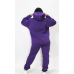 Жіночий спортивний теплий костюм тринитка на флісі Фіолетовий, XL-2XL