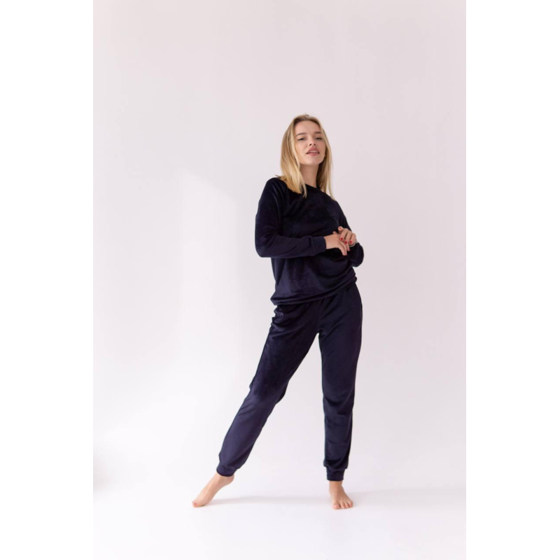 Жіночий спортивний велюровий костюм Синій, M Жіночий спортивний велюровий костюм Синій, M