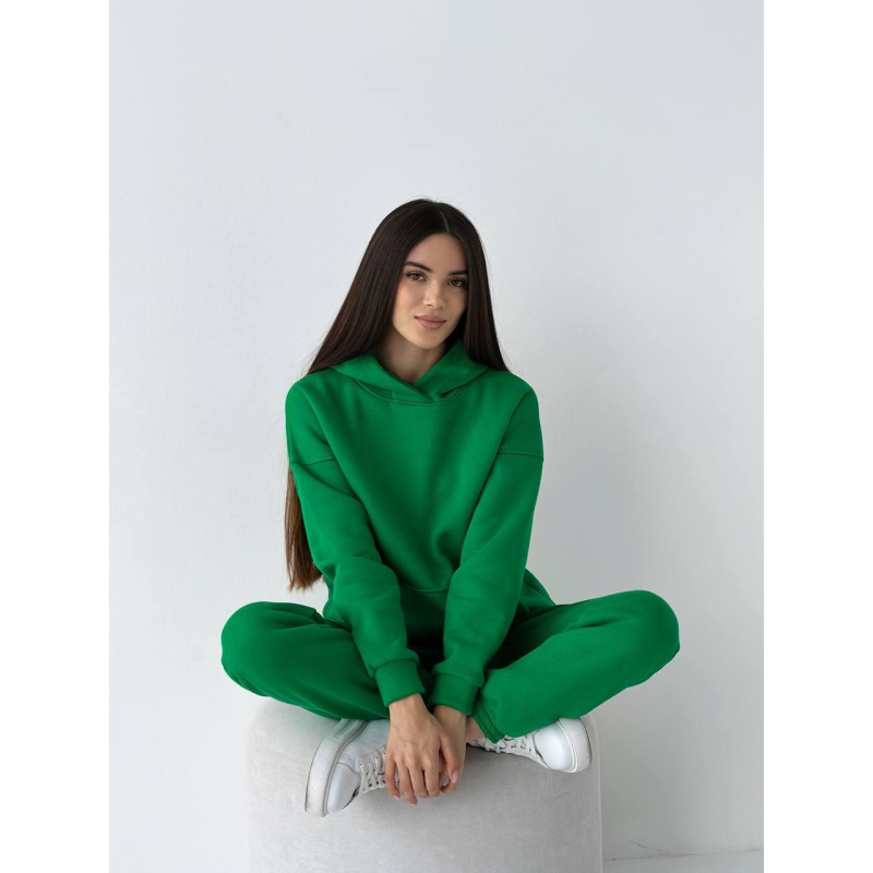 Жіночий спортивний теплий костюм оверсайз на флісі L, Зелений Жіночий спортивний теплий костюм оверсайз на флісі L, Зелений