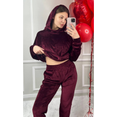 Жіночий спортивний костюм з капюшоном, XXL, Бордо