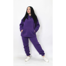Жіночий спортивний теплий костюм тринитка на флісі  Фіолетовий, M/L