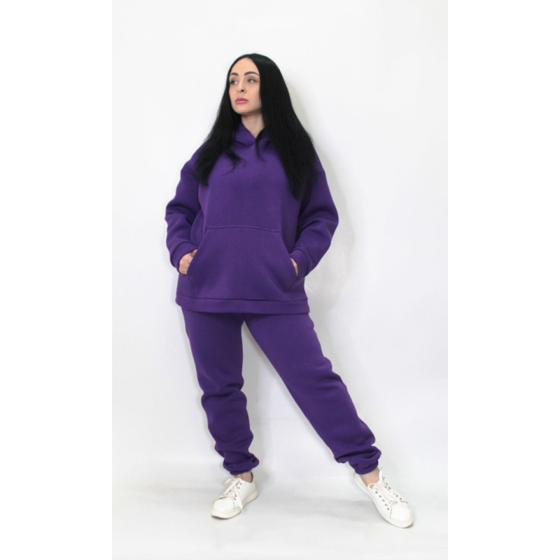 Жіночий спортивний теплий костюм тринитка на флісі Фіолетовий, XL-2XL