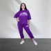 Спортивний жіночий прогулянковий костюм Фіолетовий, M-L