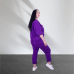 Спортивний жіночий прогулянковий костюм Фіолетовий, XL-2XL