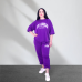 Спортивний жіночий прогулянковий костюм Фіолетовий, XL-2XL